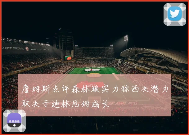 詹姆斯点评森林狼实力称西决潜力取决于迪林厄姆成长