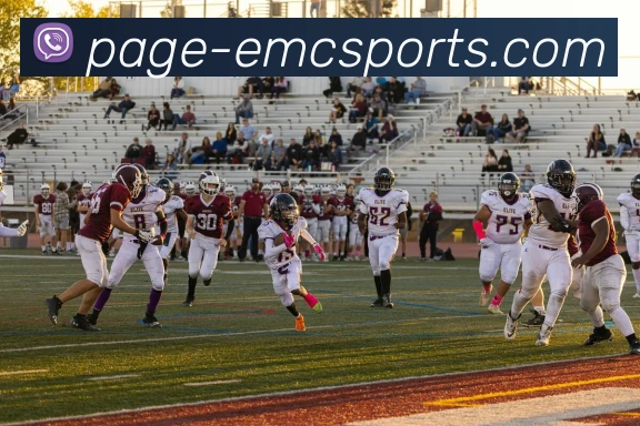 易倍体育发展历程