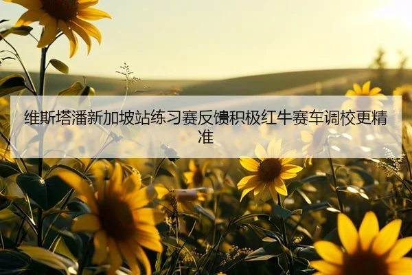 维斯塔潘新加坡站练习赛反馈积极红牛赛车调校更精准 | EMCSPORTS